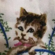 ねこまマの画像