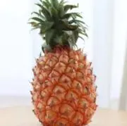pine