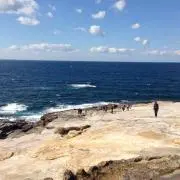 ふたたびの画像