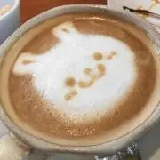 めいころの画像