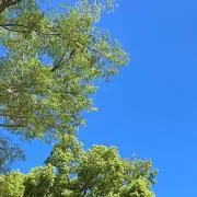 そら　断捨離中の画像