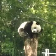 JJの画像