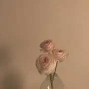 aの画像