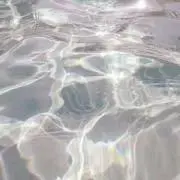 Reiの画像