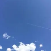ダンリューの画像