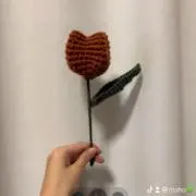 mの画像