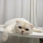123の画像