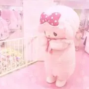 ym【値下げ中。即日発送しております】の画像