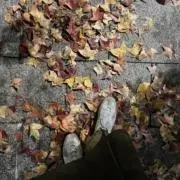 so_の画像