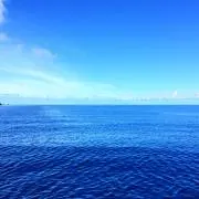 Masaの画像
