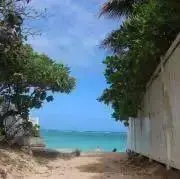 yongmiの画像