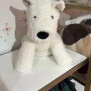 りーの画像