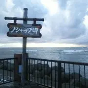タカ