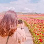 ののみ。