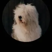 Yxyの画像