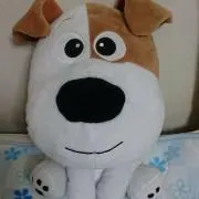 カタツムリの画像