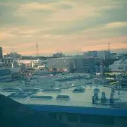 しょーこ