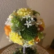 もっちの画像