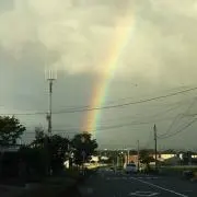 ゆらら