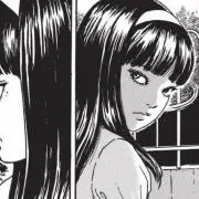 もちどんぐりの画像