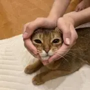nmiyabe00の画像