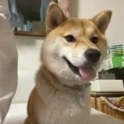 yuuuuの画像