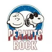 主食は野菜とプロテイン