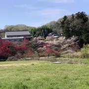 ぷーの画像