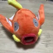 ぶんきちの画像