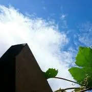 りれりれの画像