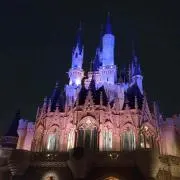 きむ