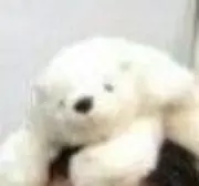 ニシセンの画像
