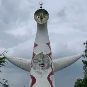たぬきの画像