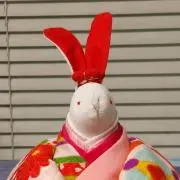 春の画像