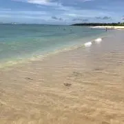 マルゴの画像