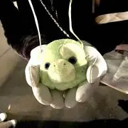 ひょ