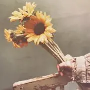 kyの画像