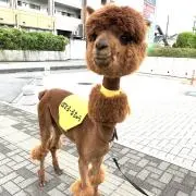 ささくれ