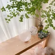 はななんの画像