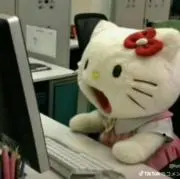 だめがえるの画像