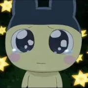 おまめさんの画像
