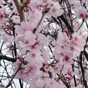 そらの画像