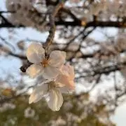1632の画像