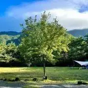 Uの画像