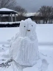 わゆゆ