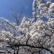 のりピー0123✨即購入OK✨の画像