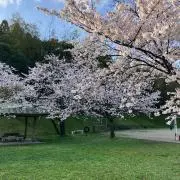 ラッチ♡