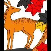 TPK