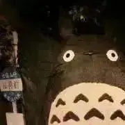 16(金)19(月)発送予定の画像