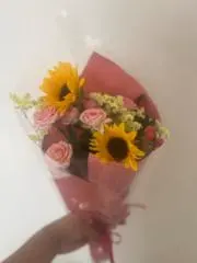 サイ